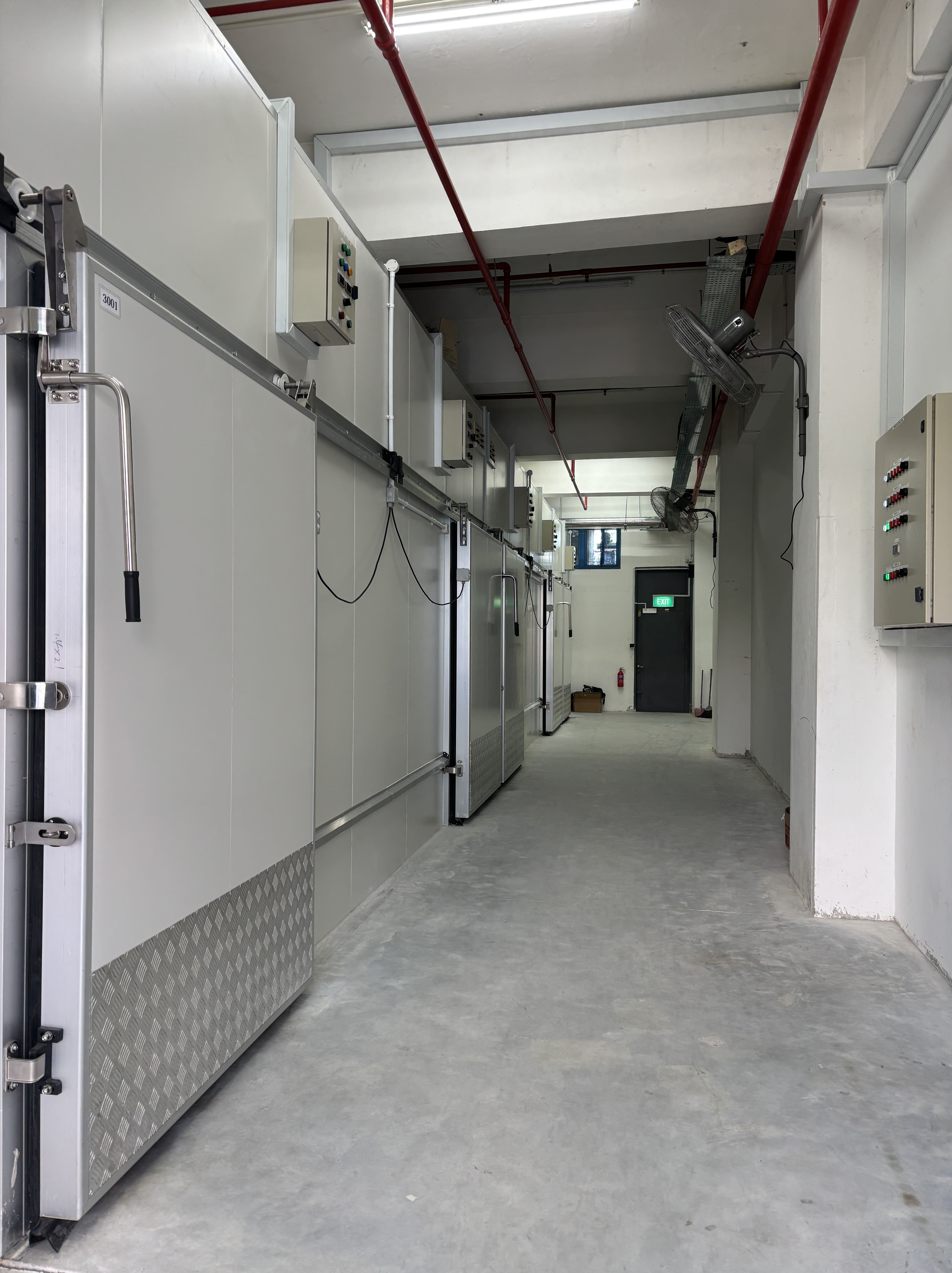 cold_room_storage