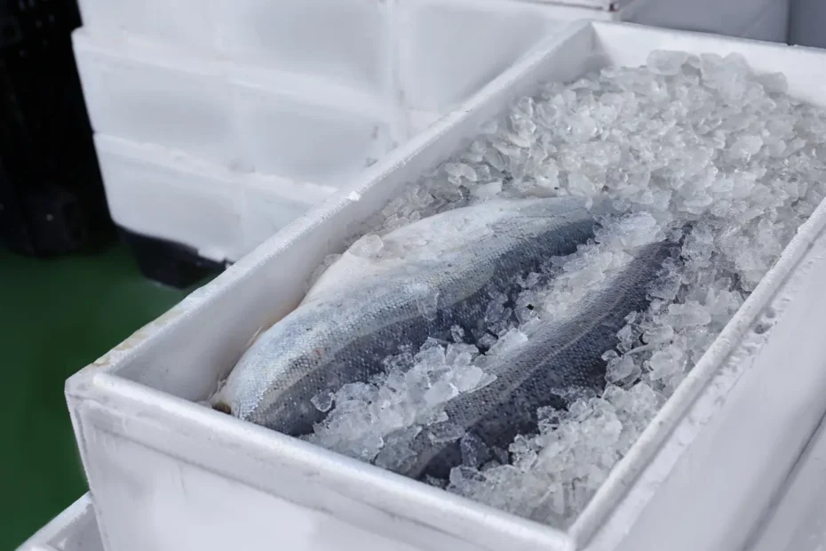 chilled_and_frozen_food_storage