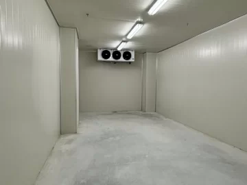 {{brizy_dc_image_alt imageSrc=